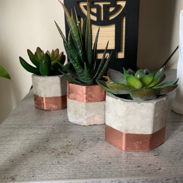 Custom Octagon Trio - Image 4