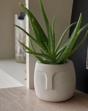 Nordic Style Face Pot