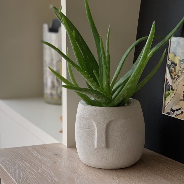 Nordic Style Face Pot