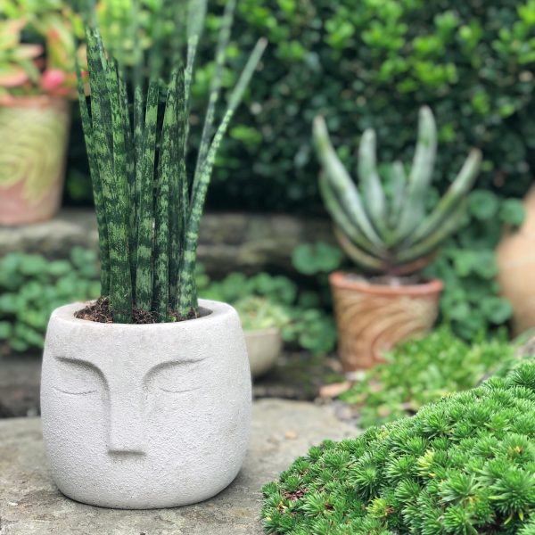 Nordic Style Face Pot - Image 2
