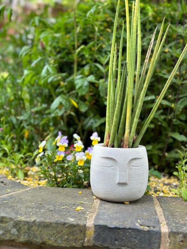 Nordic Style Face Pot - Image 9