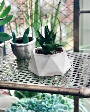 Geometric Pot