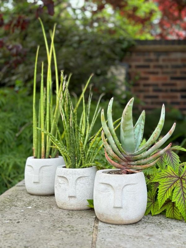 Nordic Style Face Pot - Image 7